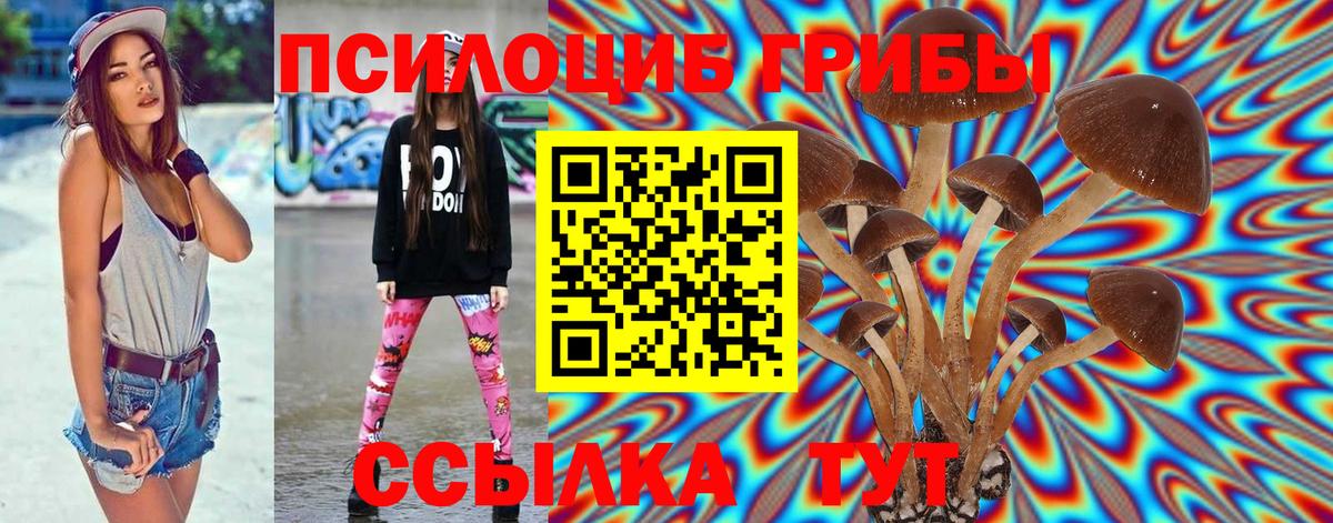 Псилоцибиновые грибы прущие грибы Орёл