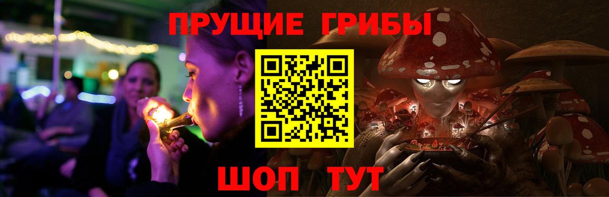 Псилоцибиновые грибы Psilocybe  Вход с VPN  Галлюциногенные грибы мицелий  Орёл 